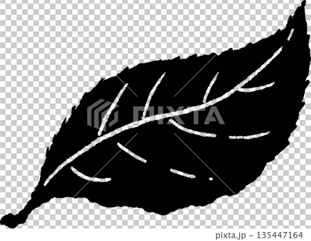 新緑の季節にぴったりな芽の手書き風 モノクロ カット素材 新緑の季節にぴったりな芽の手書き風 モノクロ カット素材 135447164