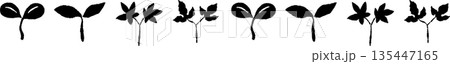 新緑の季節にぴったりな芽の手書き風 モノクロ カット素材 135447165