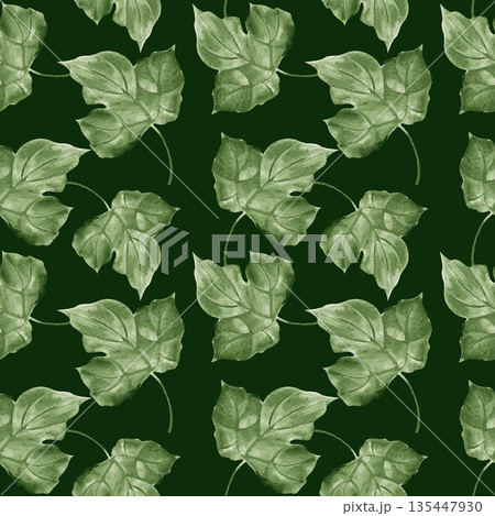 Watercolor illustration of a seamless pattern with green ivy leaves on a dark background. Repeatable botanical foliage ornament for textile design, wallpaper, and wrapping paper. 135447930