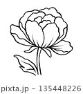 エレガントな牡丹の花のアウトラインイラスト　手描きスケッチデザイン素材 135448226