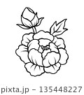 エレガントな牡丹の花のアウトラインイラスト　手描きスケッチデザイン素材 135448227