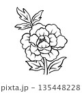 エレガントな牡丹の花のアウトラインイラスト　手描きスケッチデザイン素材 135448228