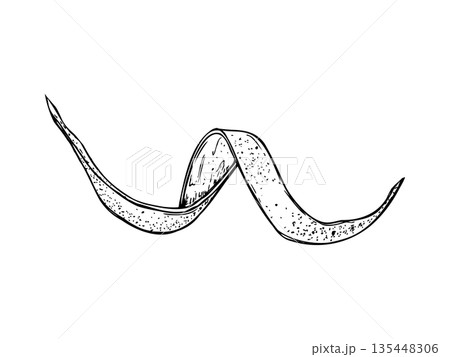 Spiral citrus peel vector line art black ink sketch. Citrus zest in twist shape isolated illustration painted by black inks. Monochrome fruit ingredient for beverage packaging, cookbook design 135448306