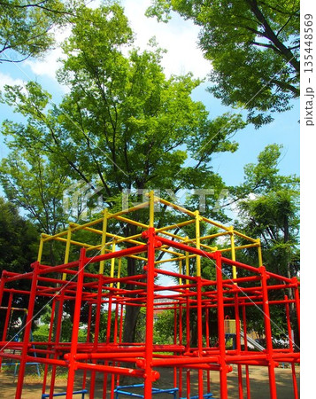 夏の朝の公園の欅とジャングルジム 135448569