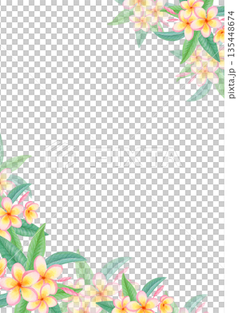 Watercolor corner tropical frame with plumeria flowers isolated on white. Exotic floral border with frangipani blossoms. Watercolor corner tropical frame with plumeria flowers isolated on white. Exotic floral border with frangipani blossoms. 135448674