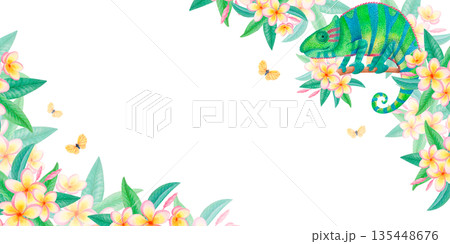 Watercolor tropical frame with chameleon, plumeria flowers and exotic butterflies. Floral wildlife border with frangipani blossoms Watercolor tropical frame with chameleon, plumeria flowers and exotic butterflies. Floral wildlife border with frangipani blossoms 135448676