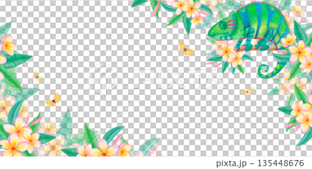 Watercolor tropical frame with chameleon, plumeria flowers and exotic butterflies. Floral wildlife border with frangipani blossoms Watercolor tropical frame with chameleon, plumeria flowers and exotic butterflies. Floral wildlife border with frangipani blossoms 135448676