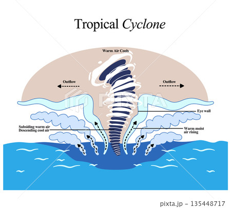 tropical cyclone hurricane or typhoon showing warm air rising cool air descending eye wall and outflow meteorological educational infographic science atmospheric 135448717