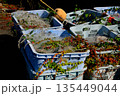 廃棄された漁具 135449044