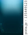 深海で泳ぐ発光したハダカイワシの背景素材 深海で泳ぐ発光したハダカイワシの背景素材 135449123