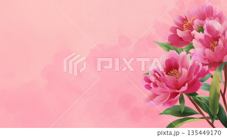Colorful flowers on a soft pink background creating a vibrant and cheerful scene in springtime 135449170