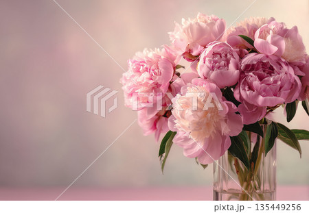 Fresh peonies in a clear vase with a soft background during daylight hours Fresh peonies in a clear vase with a soft background during daylight hours 135449256