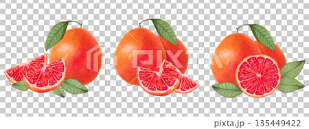 Grapefruit composition set. Whole citrus fruit and slices with leaves. Watercolor illustration. Eco friendly product. Hand drawn isolated art. Product for food packaging, juices, menus, label design Grapefruit composition set. Whole citrus fruit and slices with leaves. Watercolor illustration. Eco friendly product. Hand drawn isolated art. Product for food packaging, juices, menus, label design 135449422
