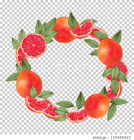 Round grapefruit wreath. Fruit frame made of slices, whole citrus and leaves. Healthy food plant theme. Watercolor illustration. Suitable for food packaging, juices, menus. Handmade, isolated art Round grapefruit wreath. Fruit frame made of slices, whole citrus and leaves. Healthy food plant theme. Watercolor illustration. Suitable for food packaging, juices, menus. Handmade, isolated art 135449423