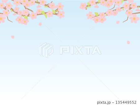 桜と青空のイラスト 135449552