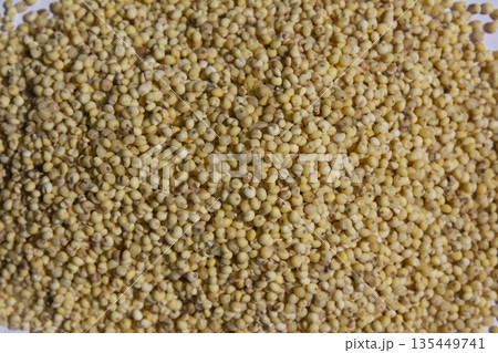 Close up of millet rice. Close up of millet rice. 135449741