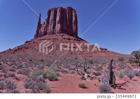 モニュメントバレ－のワイルドキャットトレール5Km地点から見たウエスト・ミトン・ビュート北側 135449971