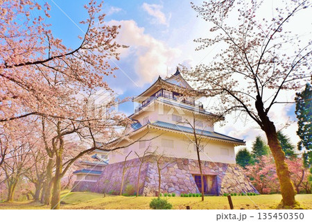 長岡城の桜 長岡城の桜 135450350