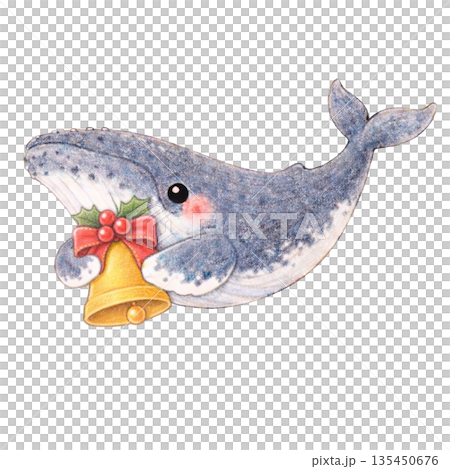 【クリスマス】色鉛筆風のベルを抱くザトウクジラのイラスト 135450676