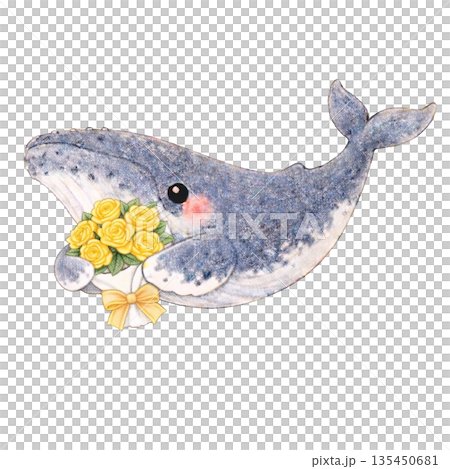 【父の日】色鉛筆風の薔薇を抱くザトウクジラのイラスト 135450681
