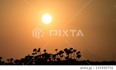 日没のシルエット 135450758
