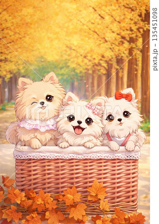 ポメラニアン姉妹 135451098