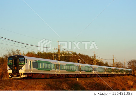 西日を浴びて我孫子支線を走るE257系 135451388