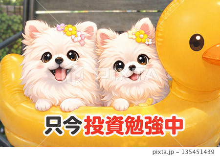 ポメラニアン只今投資勉強中 135451439