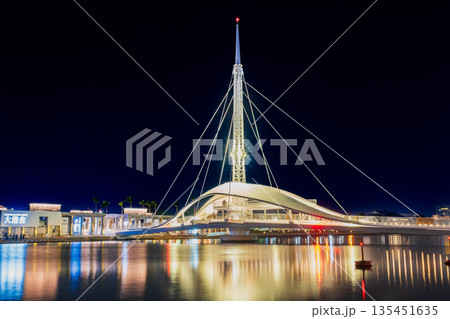 台湾　高雄港大港橋　夜景 135451635