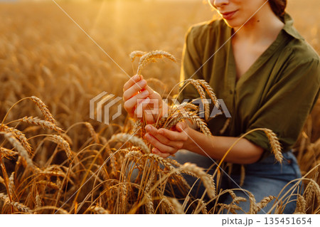 Close-up of a woman farmer's hands with black soil in an agricultural field. Ecology concept. 135451654