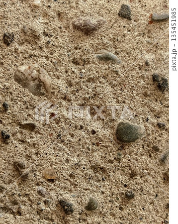 Rough Concrete Texture with Small Pebbles Background 135451985