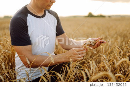 A young farmer controls the growth of his crop. Agriculture concept. Harvesting. 135452033