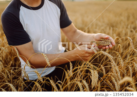 A young farmer controls the growth of his crop. Agriculture concept. Harvesting. A young farmer controls the growth of his crop. Agriculture concept. Harvesting. 135452034