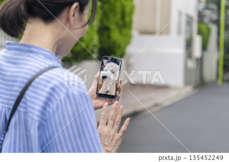 スマホでペットカメラに映る留守番中の愛犬の様子を確認する中年女性　イメージ 135452249