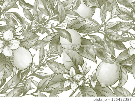 Lemons and tea botanical seamless pattern 135452387