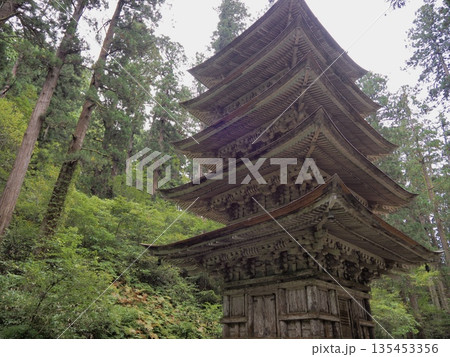 森に佇む歴史のある五重塔 森に佇む歴史のある五重塔 135453356