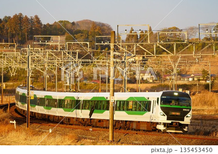 モノサクを走るE257系・初詣列車 135453450