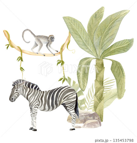 Hand-painted watercolor zebra with banana tree and monkey climbing a vine. Hand-painted watercolor zebra with banana tree and monkey climbing a vine. 135453798