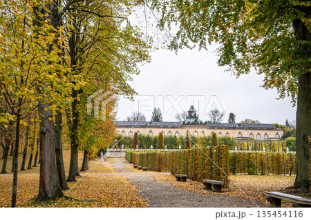 Alley of trees in autumn park in Potsdam Germany. Old plant garden 135454116