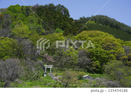 新潟県_笹川流れ 新潟県_笹川流れ 135454186