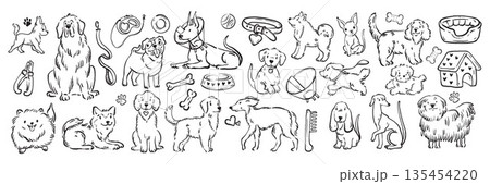 Dog doodle icon set, hand drawn vector cute pet illustration, different breeds animal collection.  135454220
