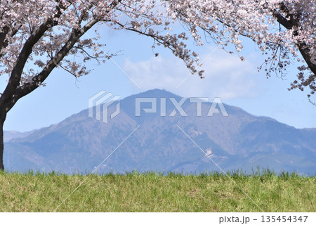 大山と桜 135454347