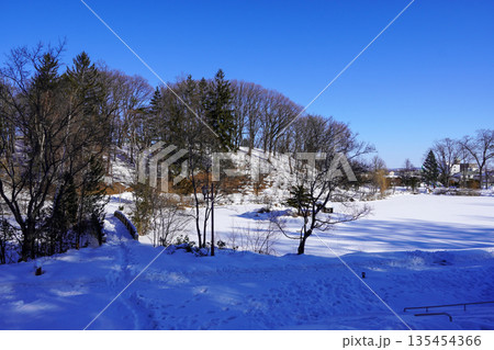 野付牛公園の冬・北見市 135454366
