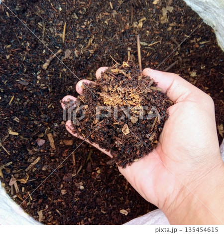 Hand Holding Natural Organic Compost Soil for Gardening and Agriculture 135454615