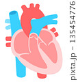 心臓の断面図 135454776
