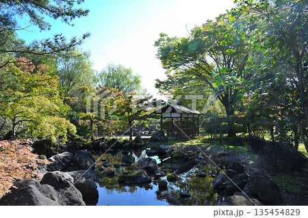 秋の濁川公園で見られる池の風景(新潟県新潟市) 秋の濁川公園で見られる池の風景(新潟県新潟市) 135454829