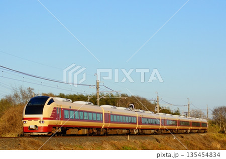 初詣列車として我孫子支線に入線したE653系国鉄色 135454834