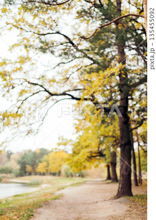 Blurred autumn landscape with yellow trees along a path by a lake. Blurred autumn landscape with yellow trees along a path by a lake. 135455092