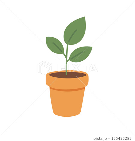Small potted seedling illustration symbolizing growth, sustainability, indoor greenery, and beginner plant care inspiration Small potted seedling illustration symbolizing growth, sustainability, indoor greenery, and beginner plant care inspiration 135455283