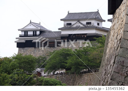 松山城：乾櫓（愛媛県松山市） 135455362